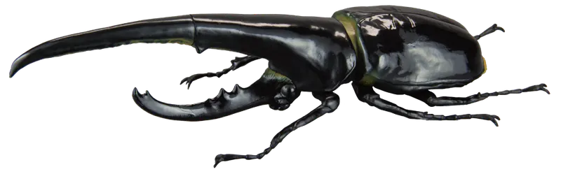 1/1ヘラクレスオオカブトver2.0 ラインナップ 3