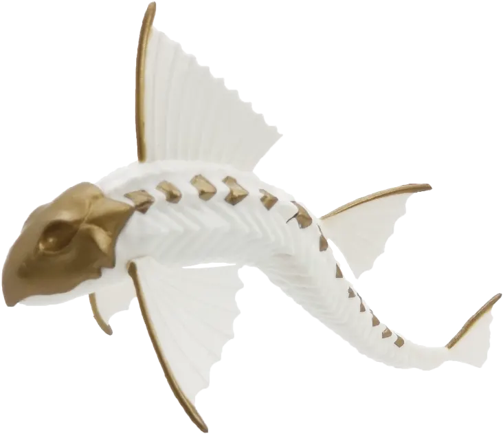 空想生物図鑑Ⅰ 古代甲冑魚 ラインナップ 4