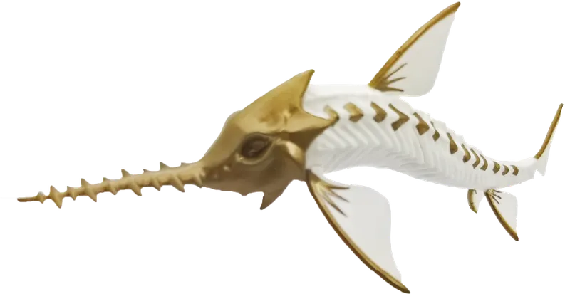 空想生物図鑑Ⅰ 古代甲冑魚 ラインナップ 5