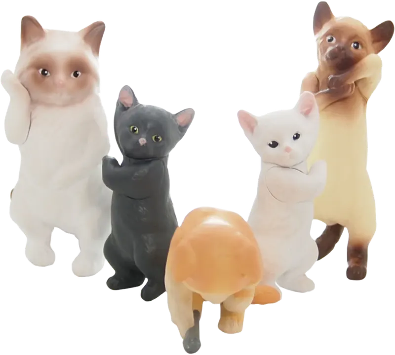 目指せ! ザ・ニャンドル ラインナップ 2
