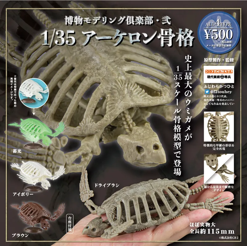 博物モデリング倶楽部・弐 1/35アーケロン骨格(画像)