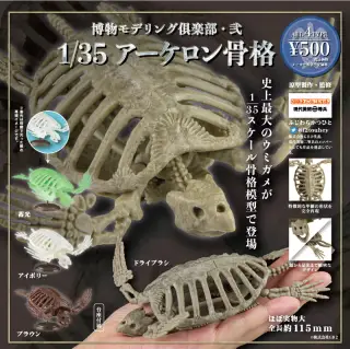 博物モデリング倶楽部・弐 1/35アーケロン骨格の画像
