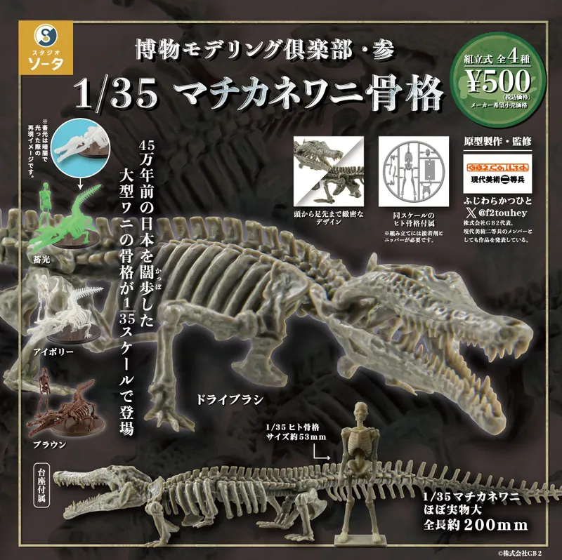 博物モデリング倶楽部・参 1/35マチカネワニ骨格(画像)