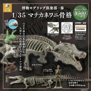 博物モデリング倶楽部・参 1/35マチカネワニ骨格の画像