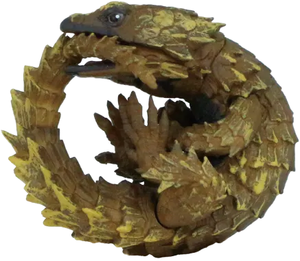 1/1 オニタマオヤモリ&アルマジロトカゲ ラインナップ 4