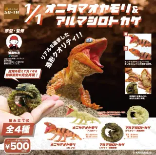 1/1 オニタマオヤモリ&アルマジロトカゲの画像