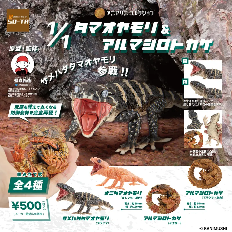 1/1タマオヤモリ&アルマジロトカゲ(画像)