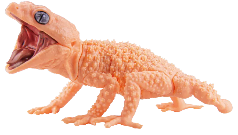 1/1タマオヤモリ&アルマジロトカゲ ラインナップ 3