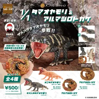 1/1タマオヤモリ&アルマジロトカゲの画像