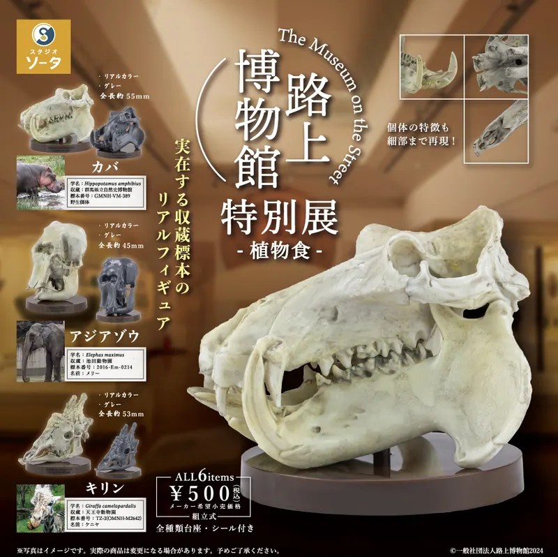 路上博物館 特別展-植物食-(画像)
