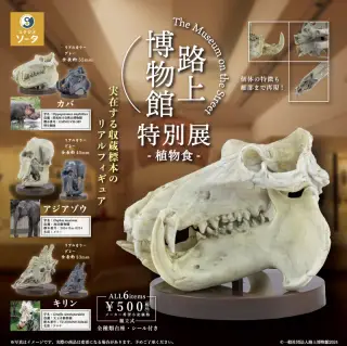 路上博物館 特別展-植物食-の画像