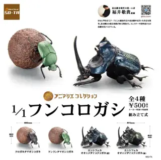 1/1 フンコロガシの画像