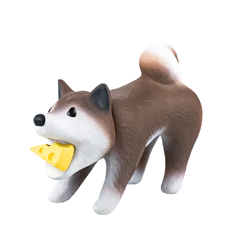 シバドリリング ラインナップ 2