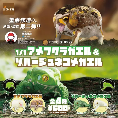 1/1 アメフクラガエル&ソバージュネコメガエル(画像)