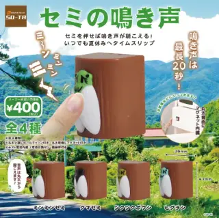 セミの鳴き声の画像