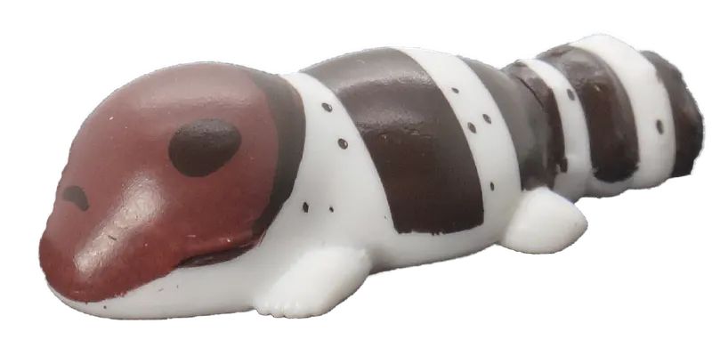 すやすやレオパ ラインナップ 7
