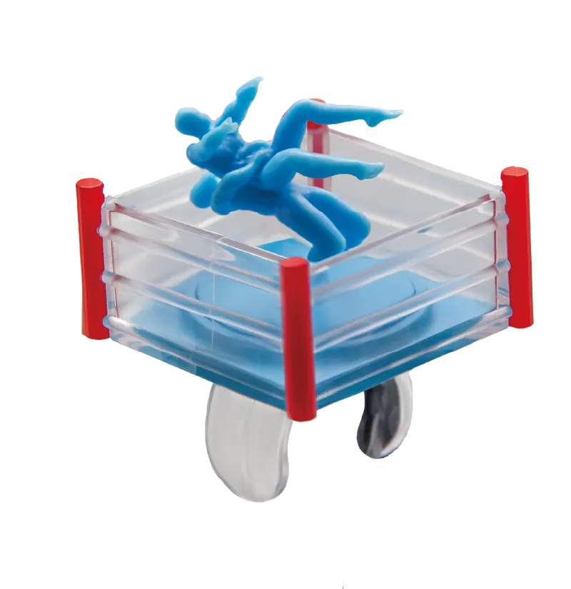 プロレスリング ラインナップ 4