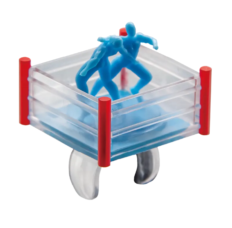 プロレスリング ラインナップ 5