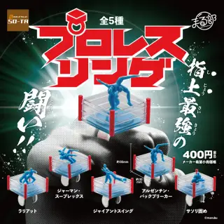 プロレスリングの画像
