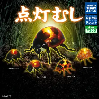 点灯むしの画像