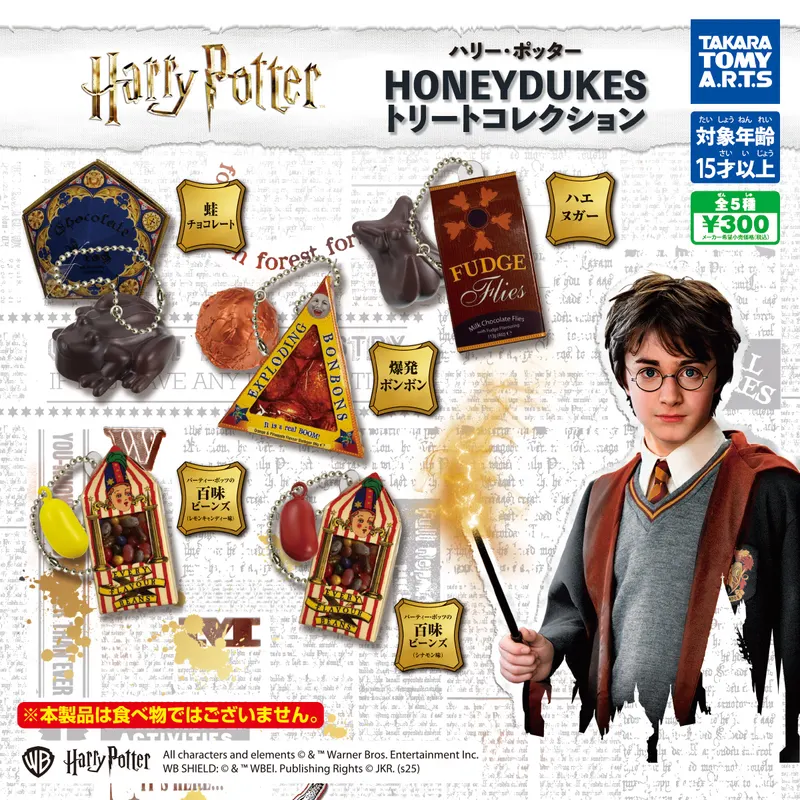 ハリー・ポッター HONEYDUKES トリートコレクション(画像)