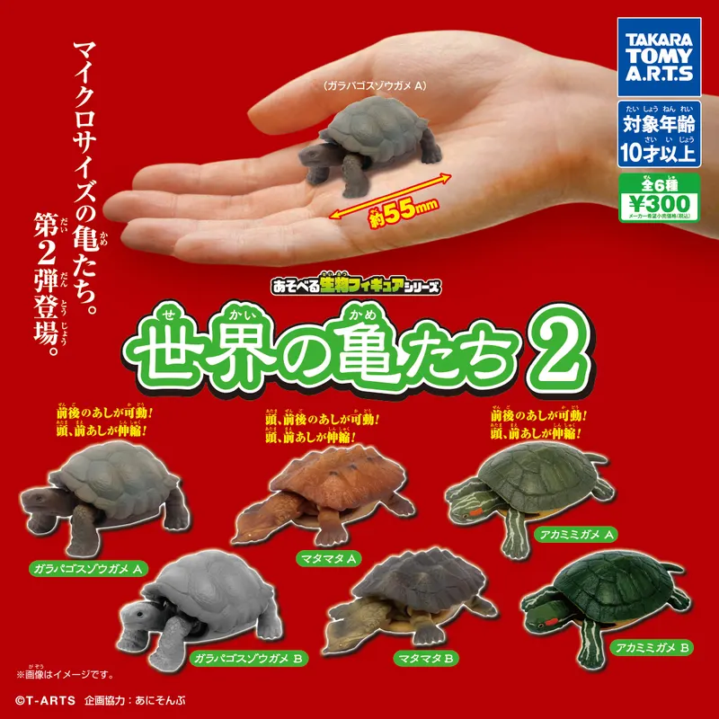 あそべる生物フィギュアシリーズ 世界の亀たち2(画像)