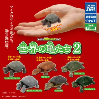 あそべる生物フィギュアシリーズ 世界の亀たち2の画像