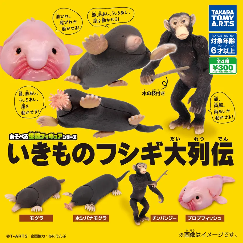 あそべる生物フィギュアシリーズ いきものフシギ大列伝(画像)
