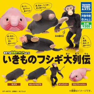 あそべる生物フィギュアシリーズ いきものフシギ大列伝の画像