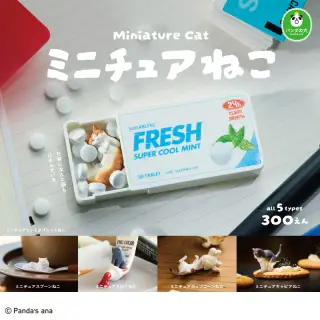 パンダの穴 ミニチュアねこの画像