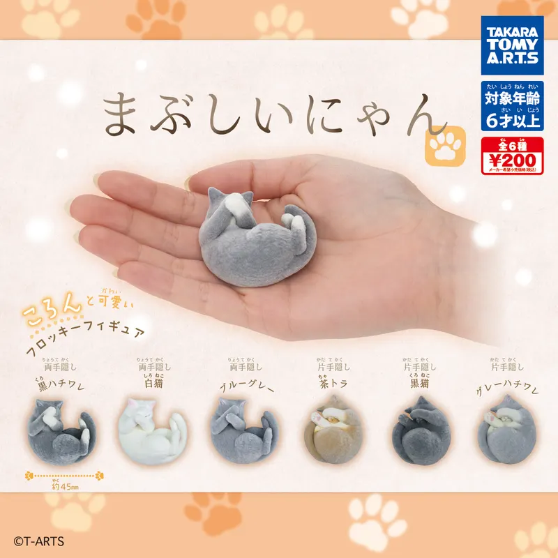 まぶしいにゃん(画像)