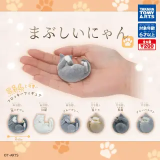 まぶしいにゃんの画像