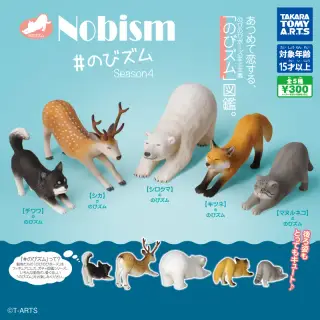 NOBISM #のびズム Season4の画像