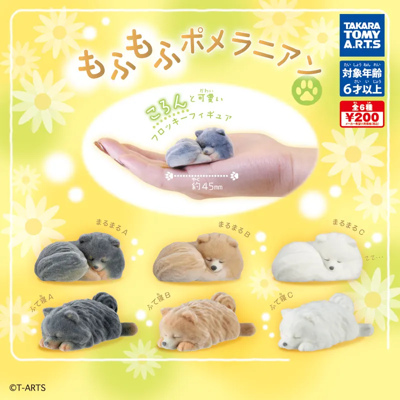 もふもふポメラニアン(画像)