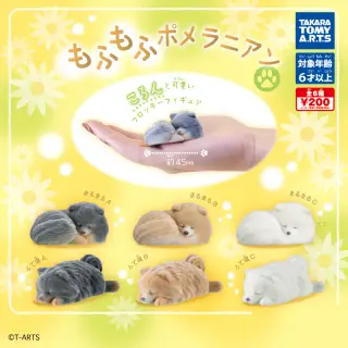 もふもふポメラニアンの画像