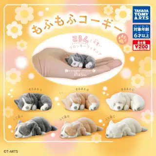 もふもふコーギーの画像