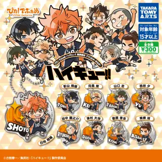 ぴた！でふぉめ ハイキュー!! 烏野高校 アクリルキーホルダーの画像