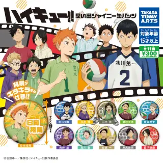 ハイキュー!! 思い出シャイニー缶バッジの画像