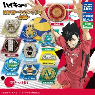ハイキュー!! 高校モチーフピンバッジ3～全国編～の画像