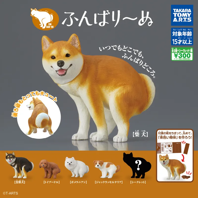 ふんばり~ぬ(画像)