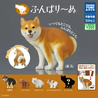 ふんばり～ぬの画像