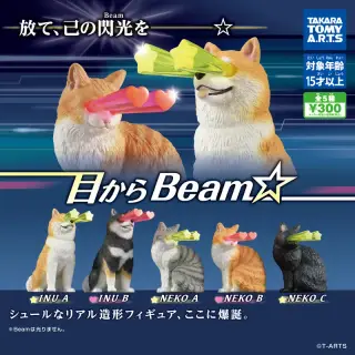 目からBeam☆の画像