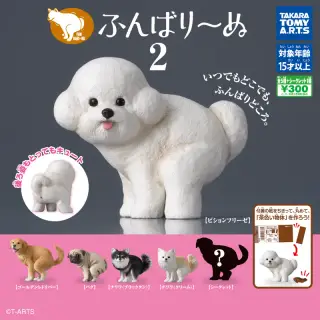 ふんばり～ぬ2の画像