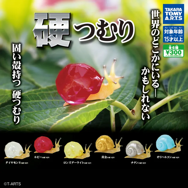 硬つむり(画像)
