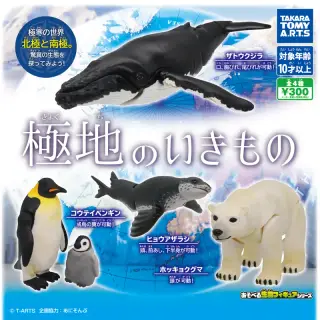 極地のいきものの画像