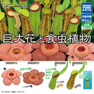 巨大花と食虫植物の画像