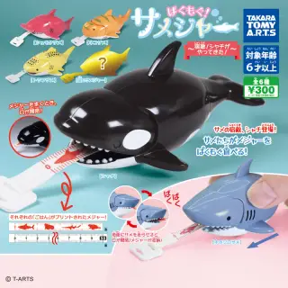 ぱくもぐ！サメジャー 〜宿敵！シャチがやってきた〜の画像