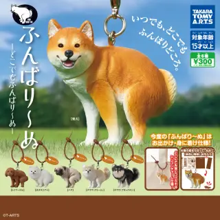 ふんばり～ぬ -どこでもふんばり～ぬ-の画像