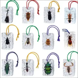 本物シリーズ “虫”編の画像
