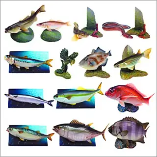 原色海水魚図鑑Ⅱの画像